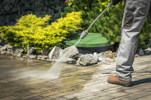 Best Solar Panel Cleaning  in Bodfish, CA
